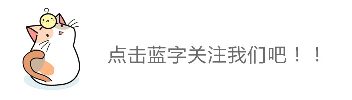 定了！《金华市养犬管理规定》正式公布！快看看你家狗狗是否符合